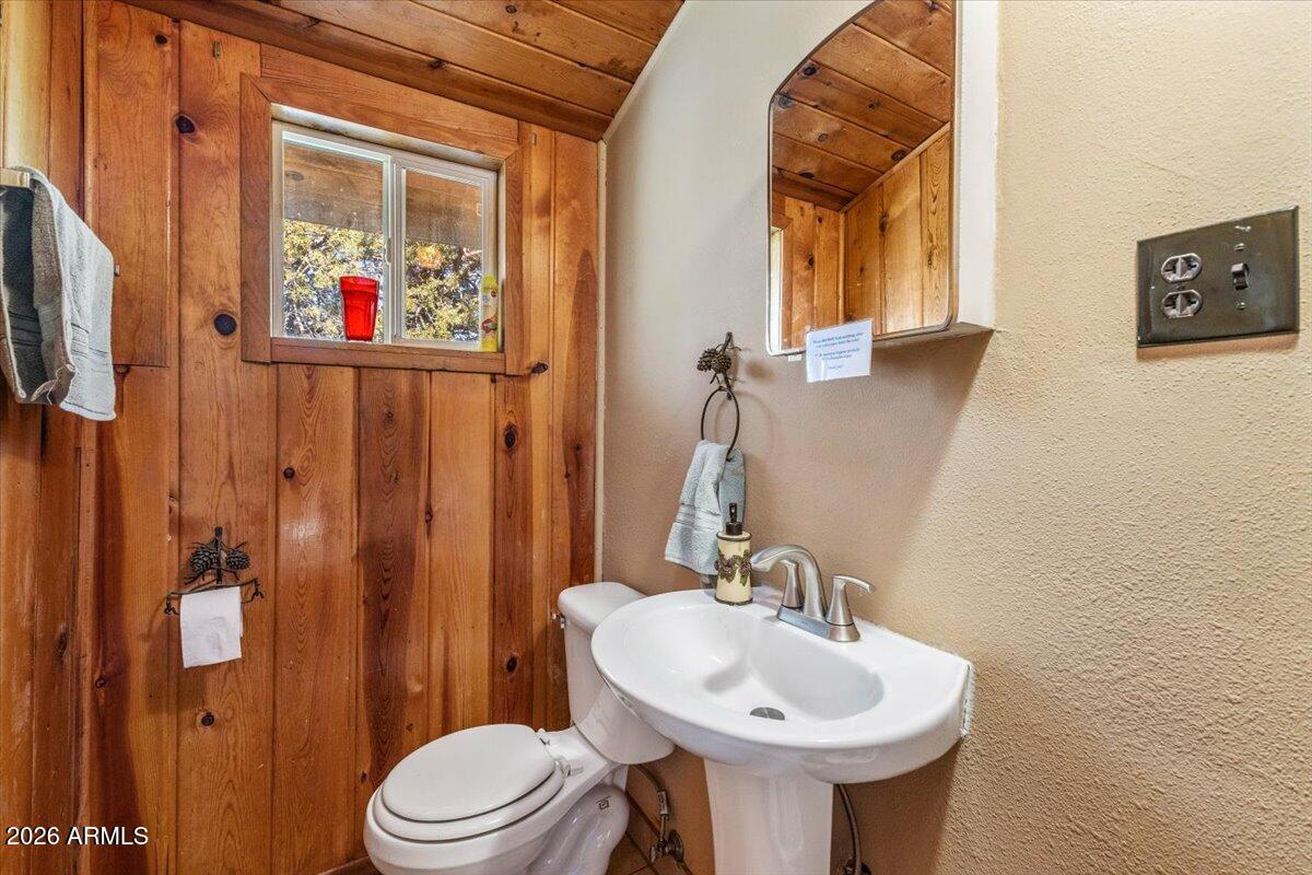 5437 Show Low Lake Road Lakeside, AZ 85929 - Photo 19 of 46 11-IMG_8675