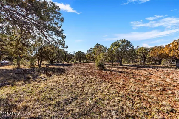 $425,000 | 5437 Show Low Lake Road, Lakeside, AZ 85929