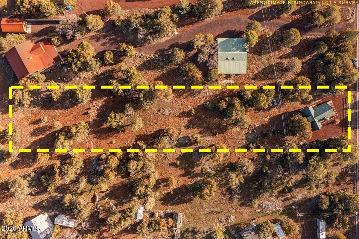 5437 Show Low Lake Road Lakeside, AZ 85929 - Photo 43 of 46 43-DJI_0343