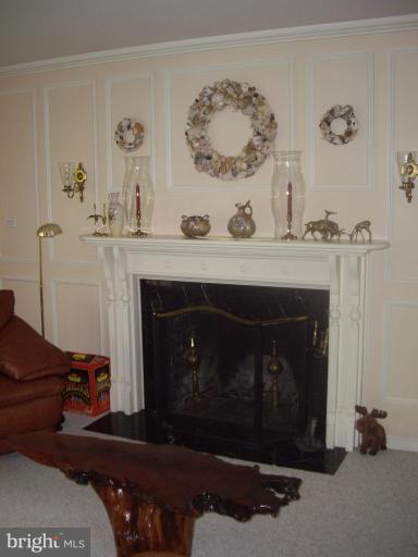 14542 Lightner Road Haymarket, VA 20169 - Photo 4 of 16 Woodburning fireplace