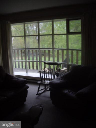 14542 Lightner Road Haymarket, VA 20169 - Photo 5 of 16 What a view from this window