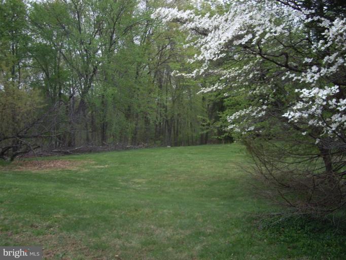 14542 Lightner Road Haymarket, VA 20169 - Photo 6 of 16 2 acres