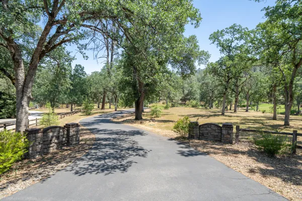 a view of a park with trees