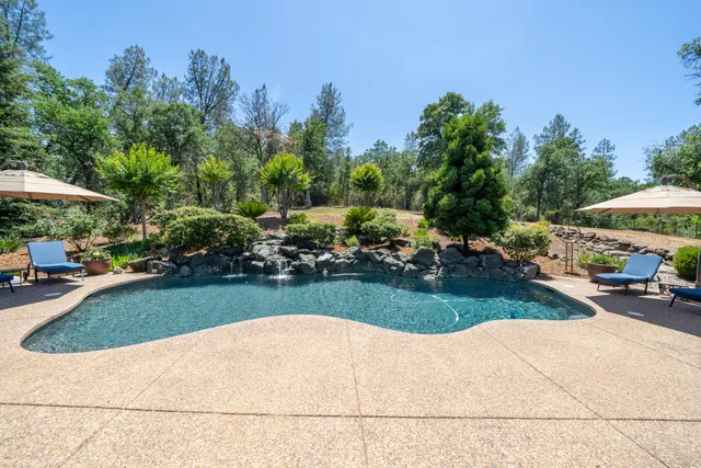 a view of a park with plants and trees