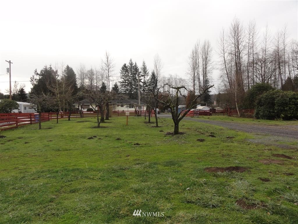 0 Damron Road Mossyrock, WA 98564 - Photo 6 of 10 Gallery Image 6