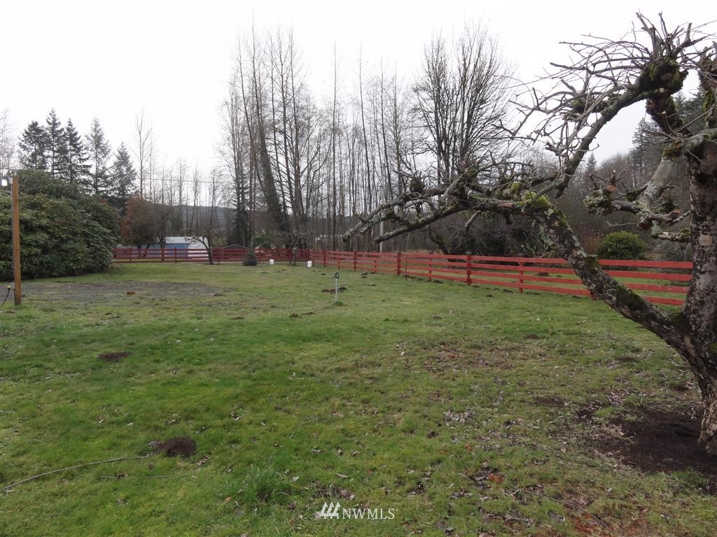 0 Damron Road Mossyrock, WA 98564 - Photo 9 of 10 Gallery Image 9