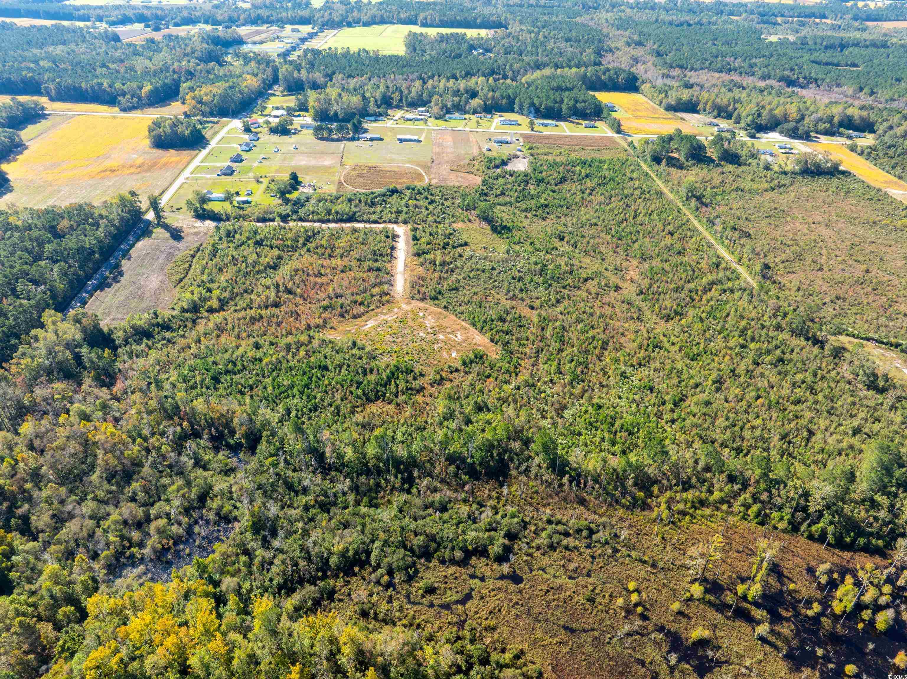 Tbd J H Martin Road Galivants Ferry, SC 29544 - Photo 11 of 14