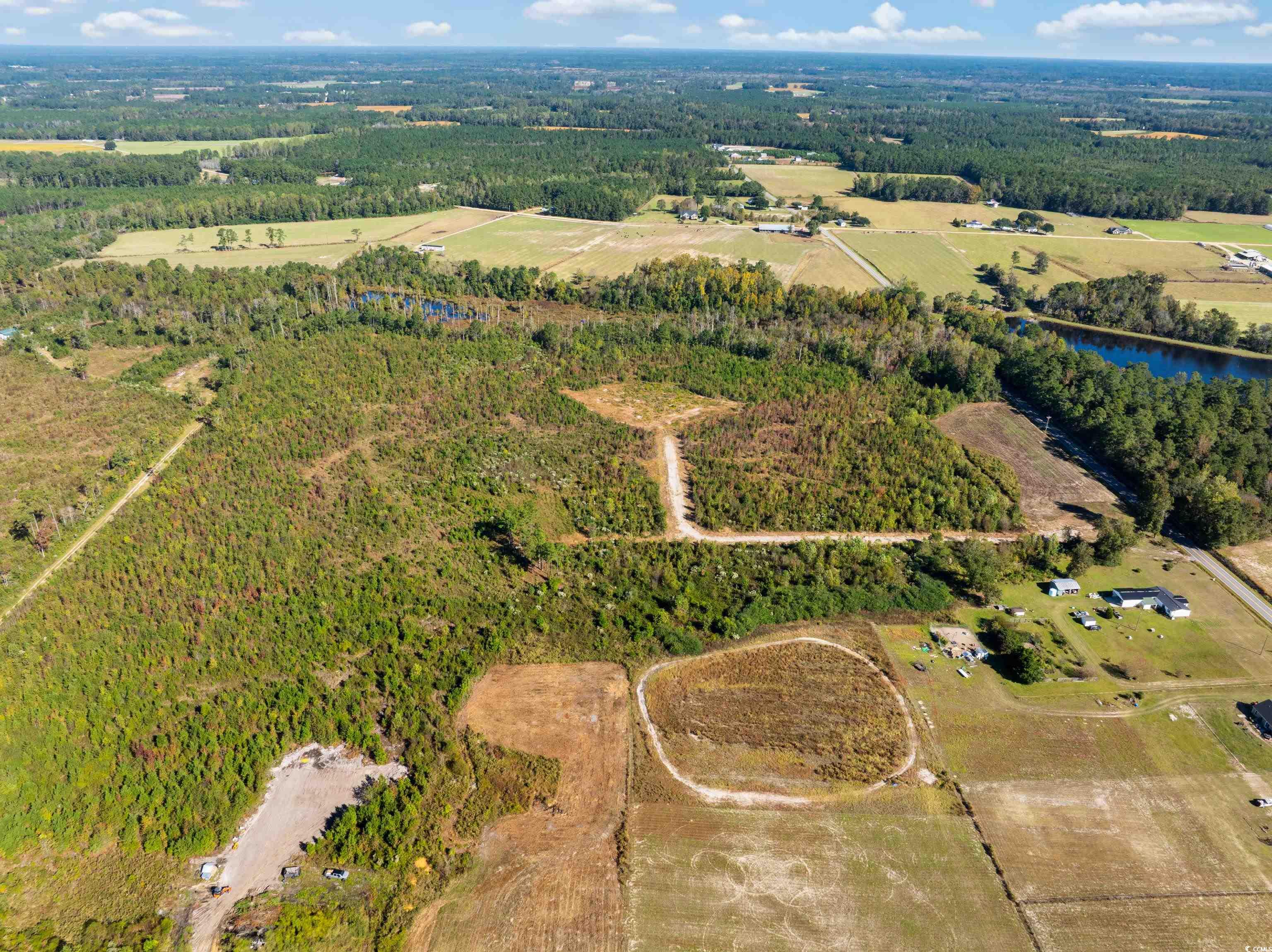 Tbd J H Martin Road Galivants Ferry, SC 29544 - Photo 2 of 14