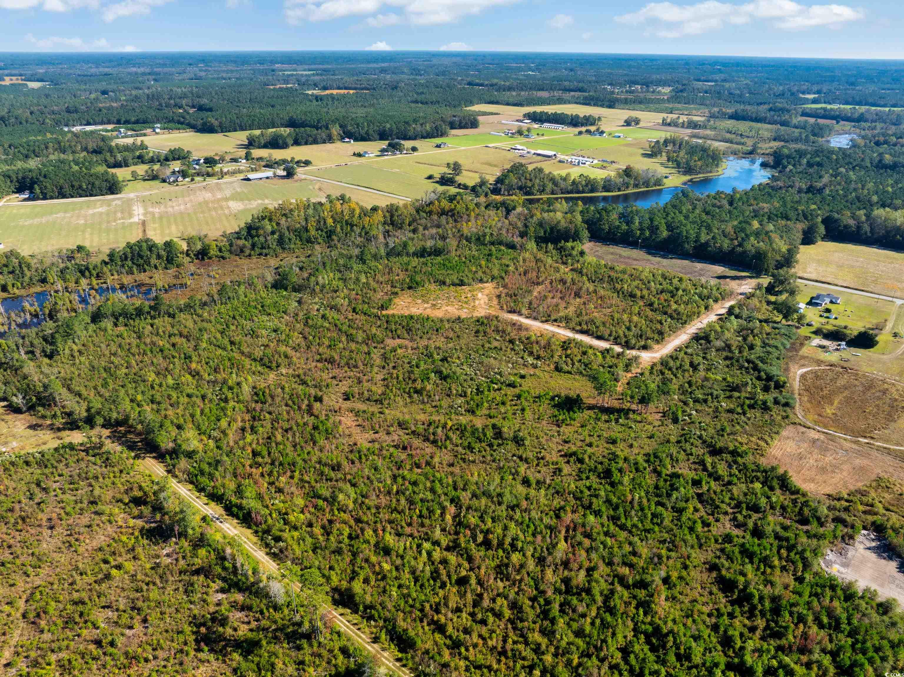 Tbd J H Martin Road Galivants Ferry, SC 29544 - Photo 3 of 14