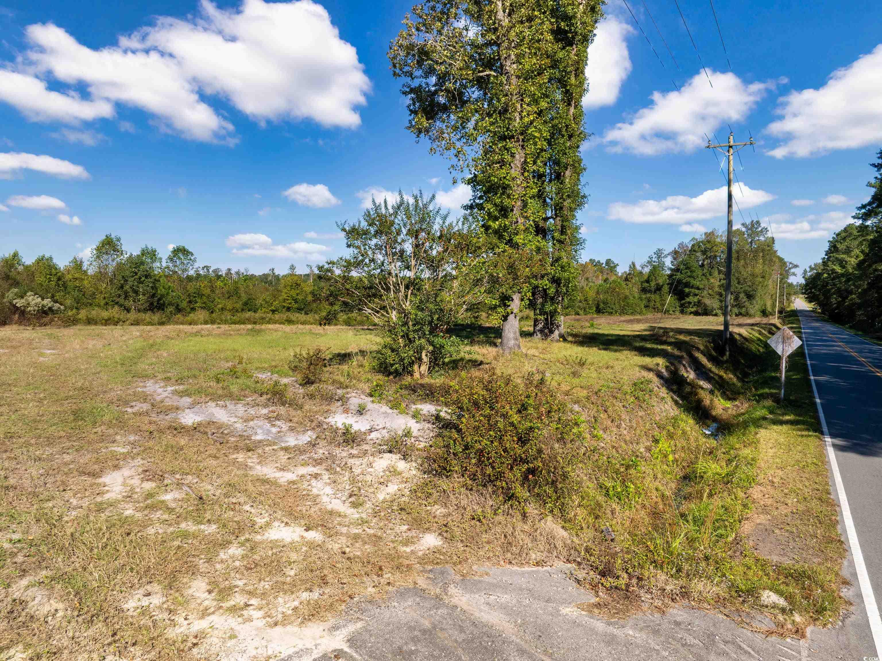 Tbd J H Martin Road Galivants Ferry, SC 29544 - Photo 5 of 14
