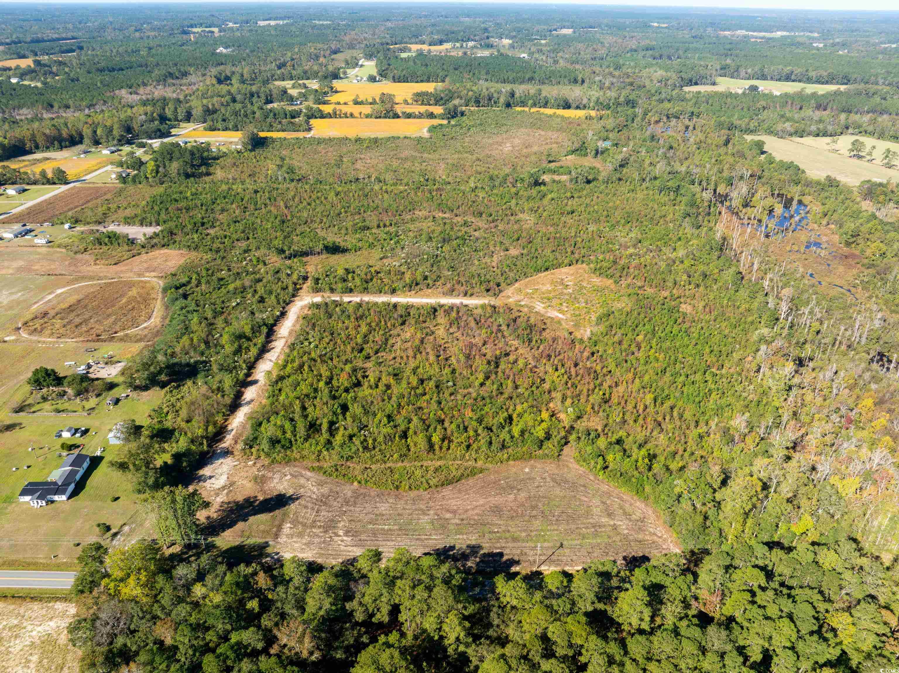 Tbd J H Martin Road Galivants Ferry, SC 29544 - Photo 8 of 14