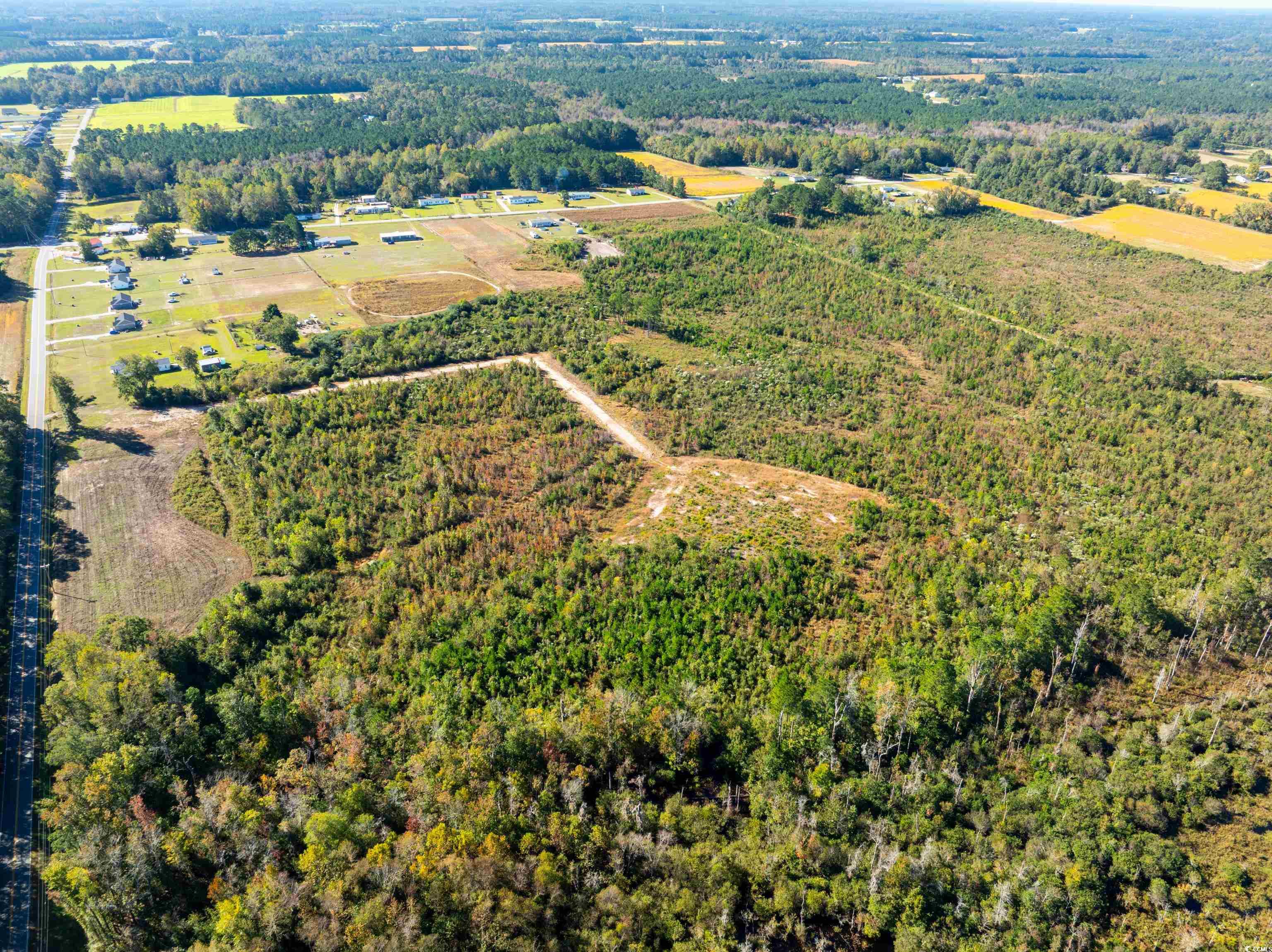 Tbd J H Martin Road Galivants Ferry, SC 29544 - Photo 10 of 14