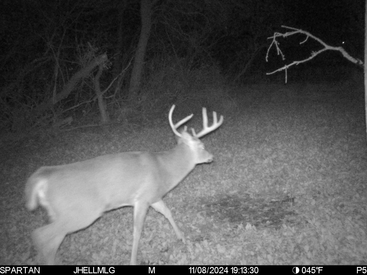 0 North Scout Camp Road Stockton, IL 61085 - Photo 15 of 25 Gallery Image 15