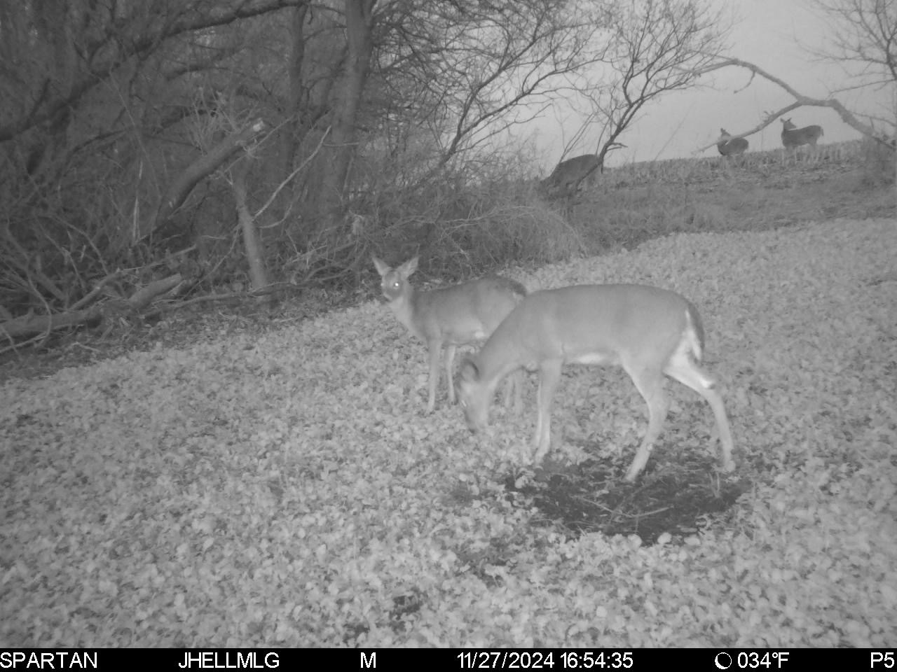 0 North Scout Camp Road Stockton, IL 61085 - Photo 16 of 25 Gallery Image 16
