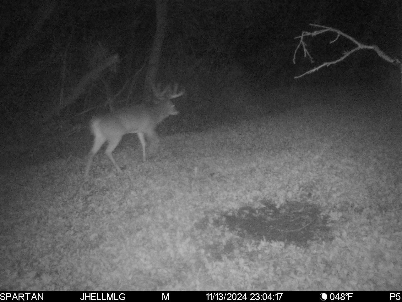 0 North Scout Camp Road Stockton, IL 61085 - Photo 21 of 25 Gallery Image 21
