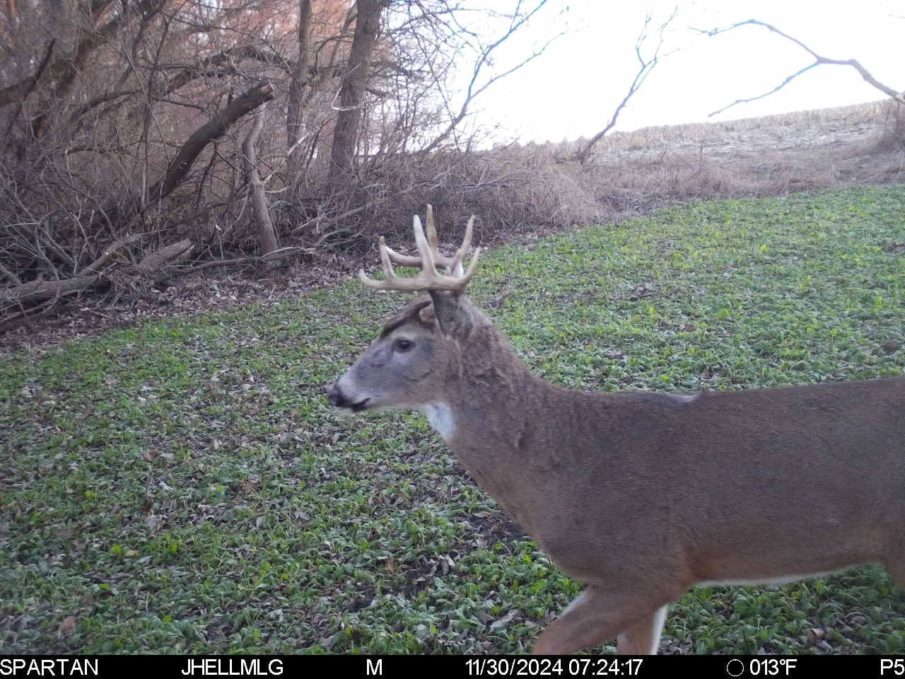 0 North Scout Camp Road Stockton, IL 61085 - Photo 23 of 25 Gallery Image 23