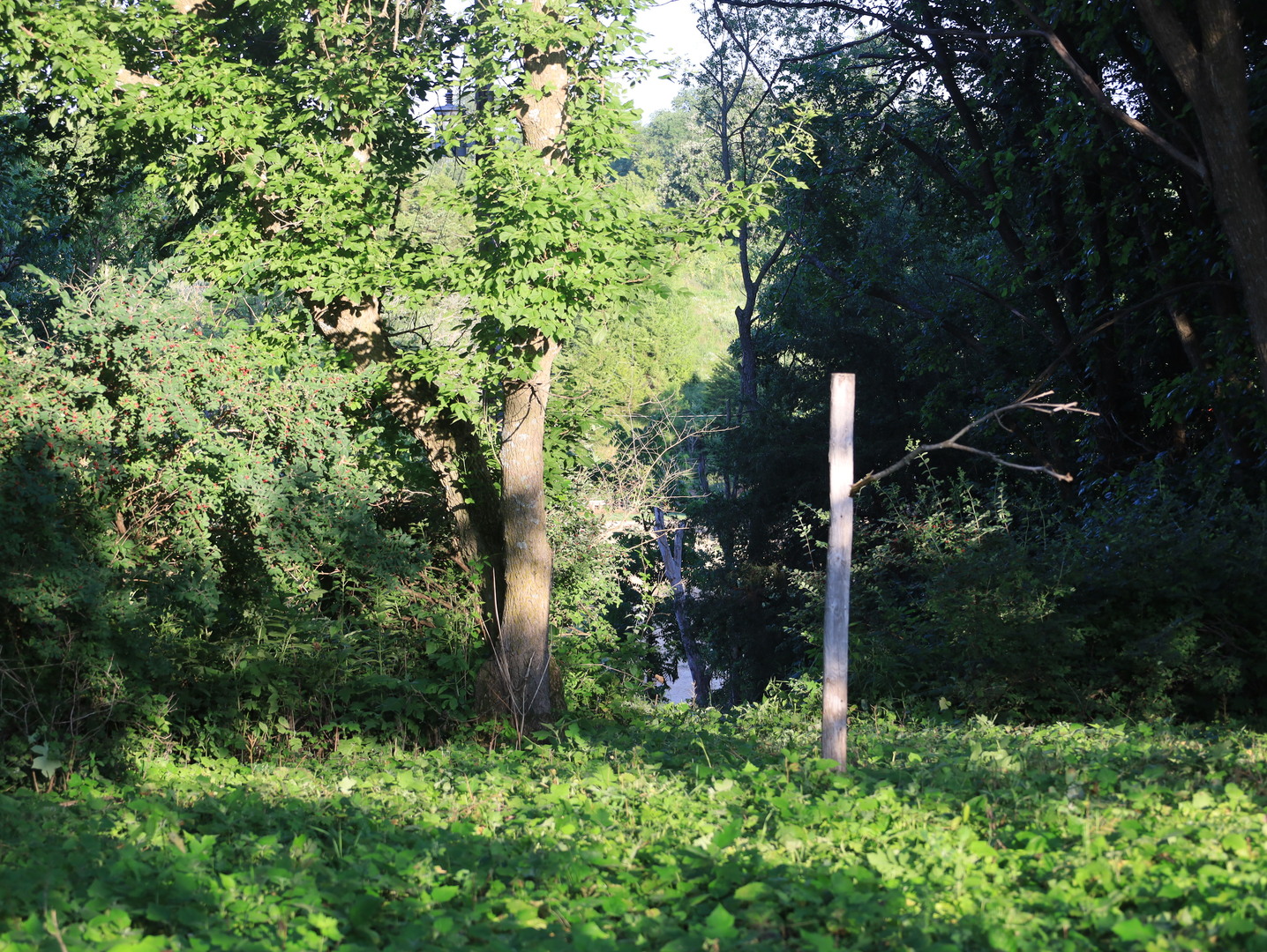 0 North Scout Camp Road Stockton, IL 61085 - Photo 10 of 25 Gallery Image 10