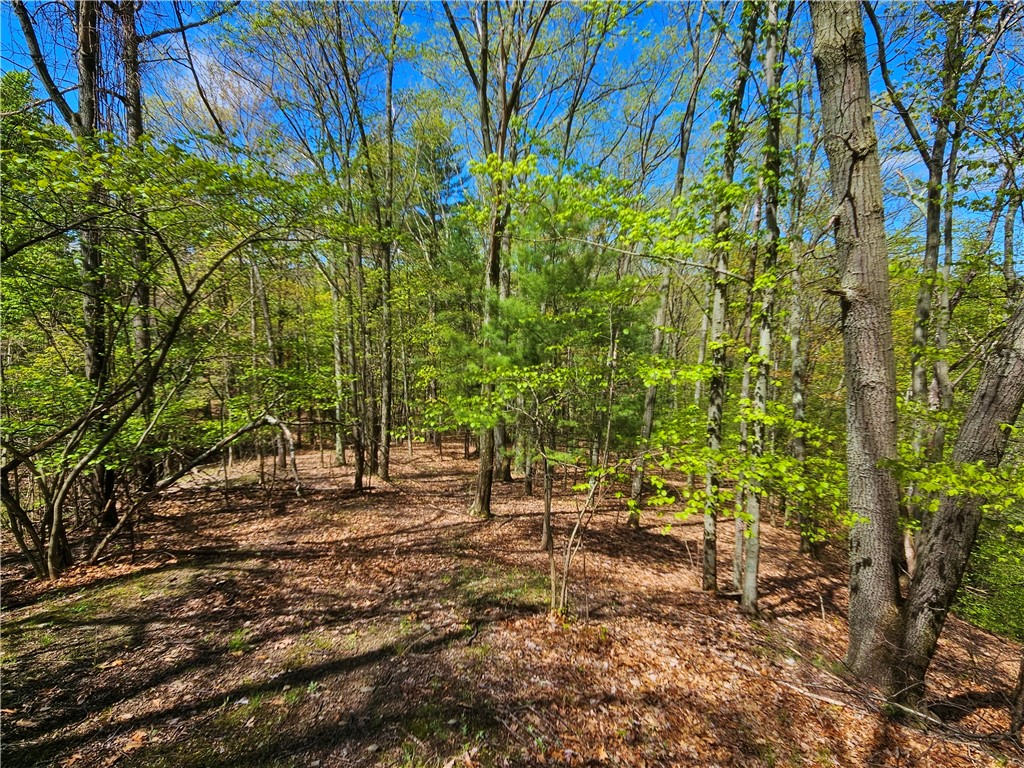 613 East Lake Road Penn Yan, NY 14527 - Photo 23 of 35