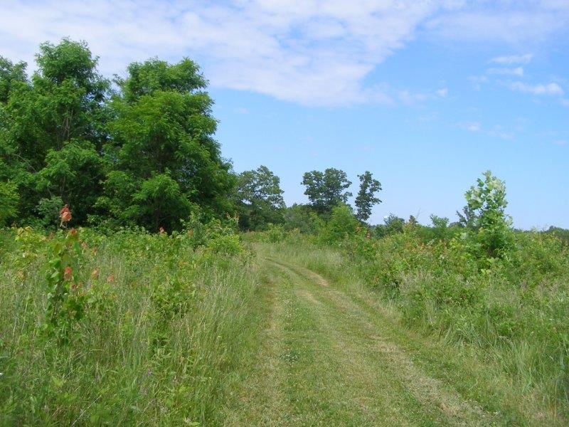 County Garage Road Crossville, TN 38555 - Photo 1 of 18 2004-12-31 23.00.00-15