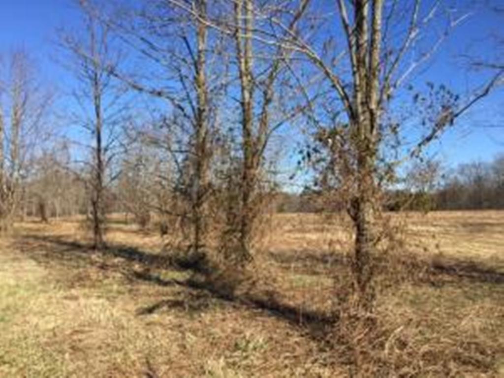 County Garage Road Crossville, TN 38555 - Photo 11 of 18 2