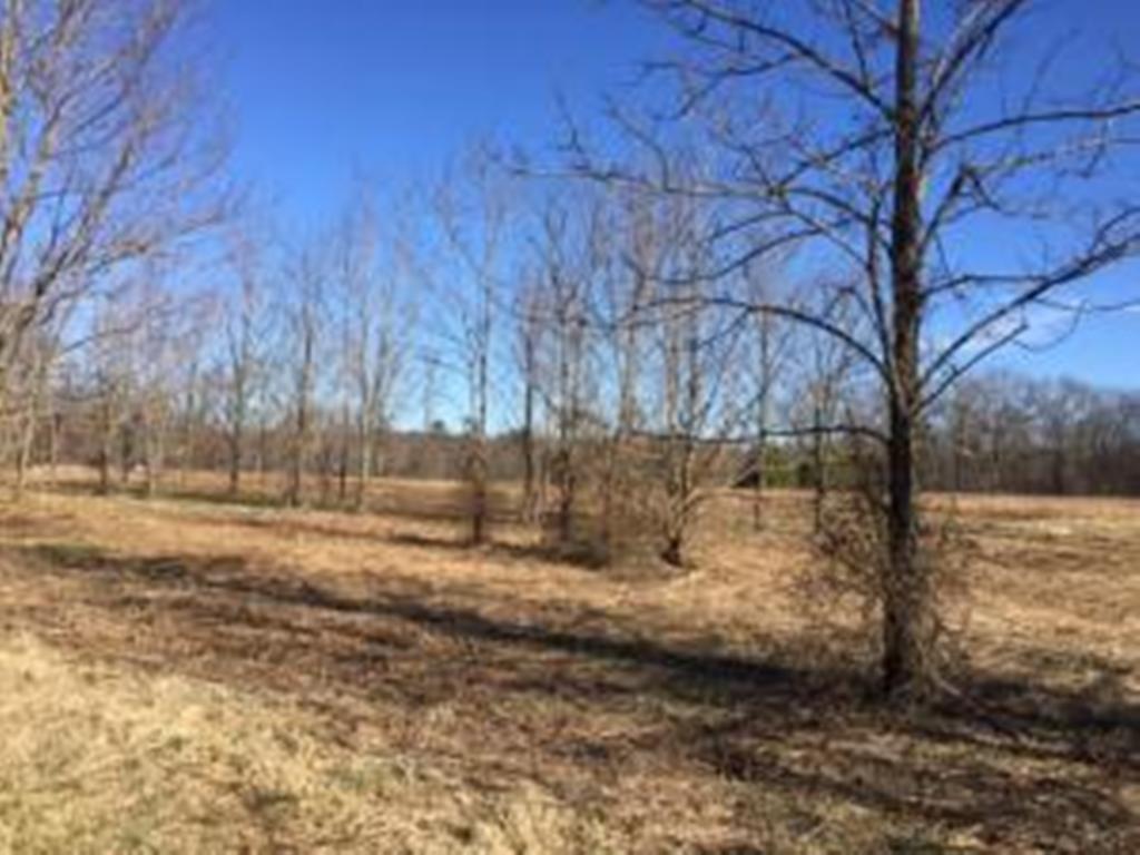 County Garage Road Crossville, TN 38555 - Photo 13 of 18 4