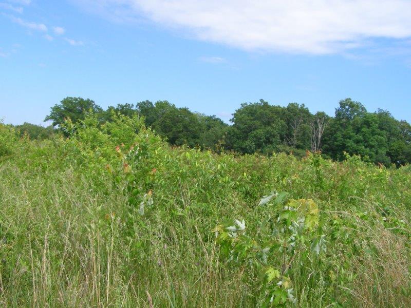 County Garage Road Crossville, TN 38555 - Photo 3 of 18 2004-12-31 23.00.00-12