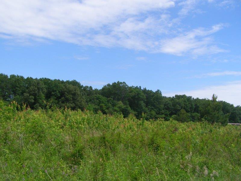 County Garage Road Crossville, TN 38555 - Photo 4 of 18 2004-12-31 23.00.00-11
