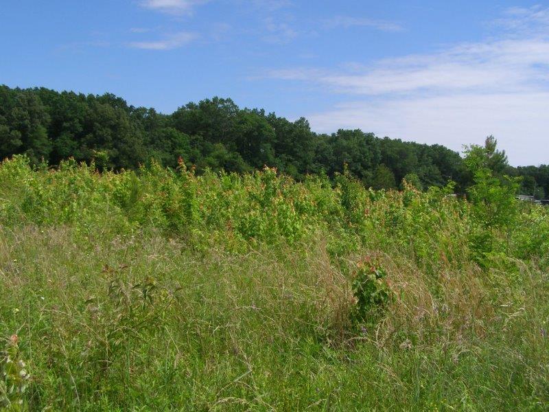 County Garage Road Crossville, TN 38555 - Photo 7 of 18 2004-12-31 23.00.00-17