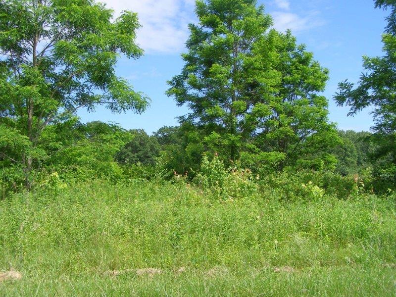 County Garage Road Crossville, TN 38555 - Photo 8 of 18 2004-12-31 23.00.00-18