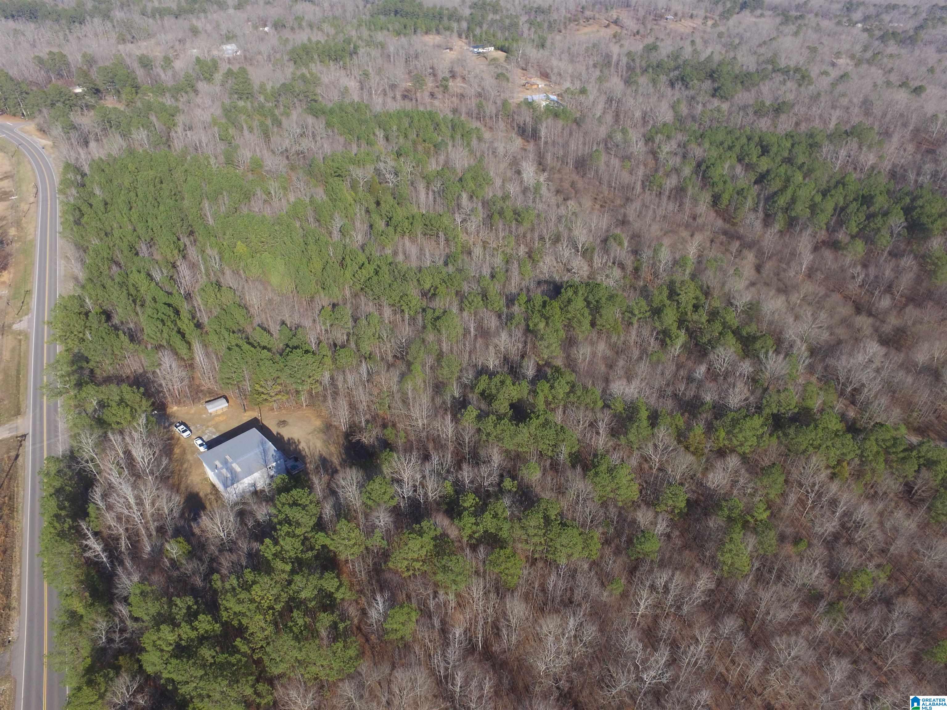 9764 Mudd Street Ohatchee, AL 36271 - Photo 9 of 28