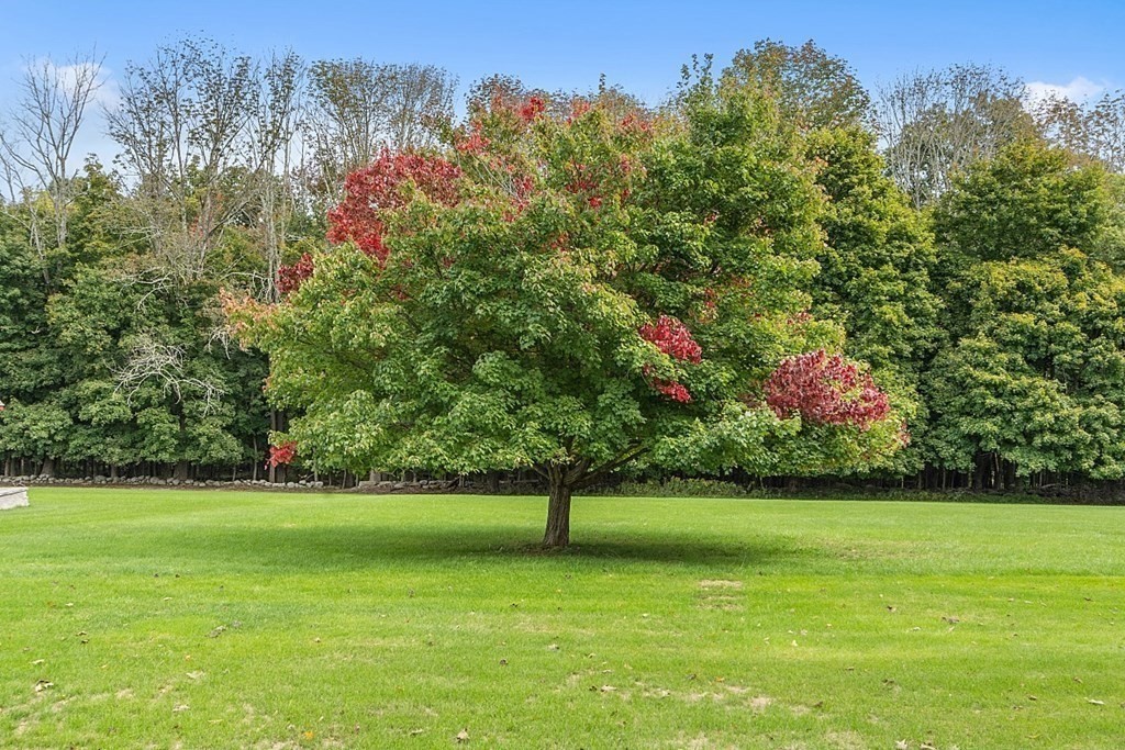 10 Bates Road Dudley, MA 01571 - Photo 28 of 35 Gallery Image 28
