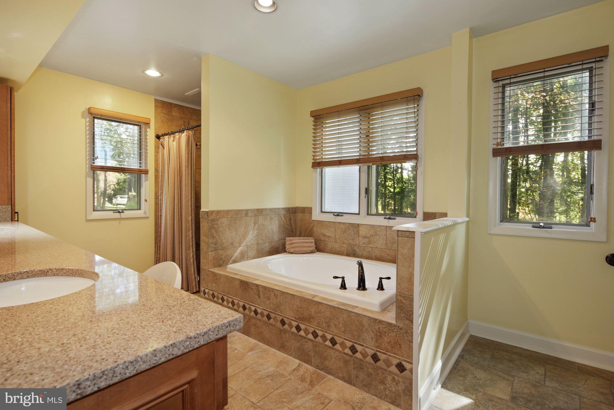 12320 Timber Grove Road Reisterstown, MD 21136 - Photo 18 of 34 Master Bath en-suite - a true retreat!
