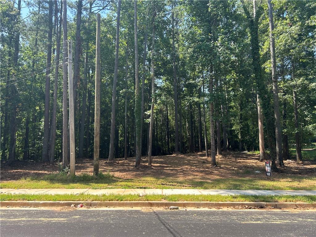 0 Brooks Drive Fairburn, GA 30213 - Photo 1 of 1 a view of swimming pool with trees