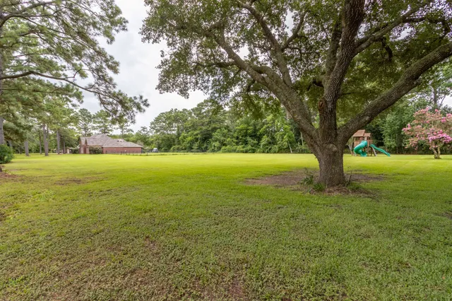 a big yard with lots of green space and trees
