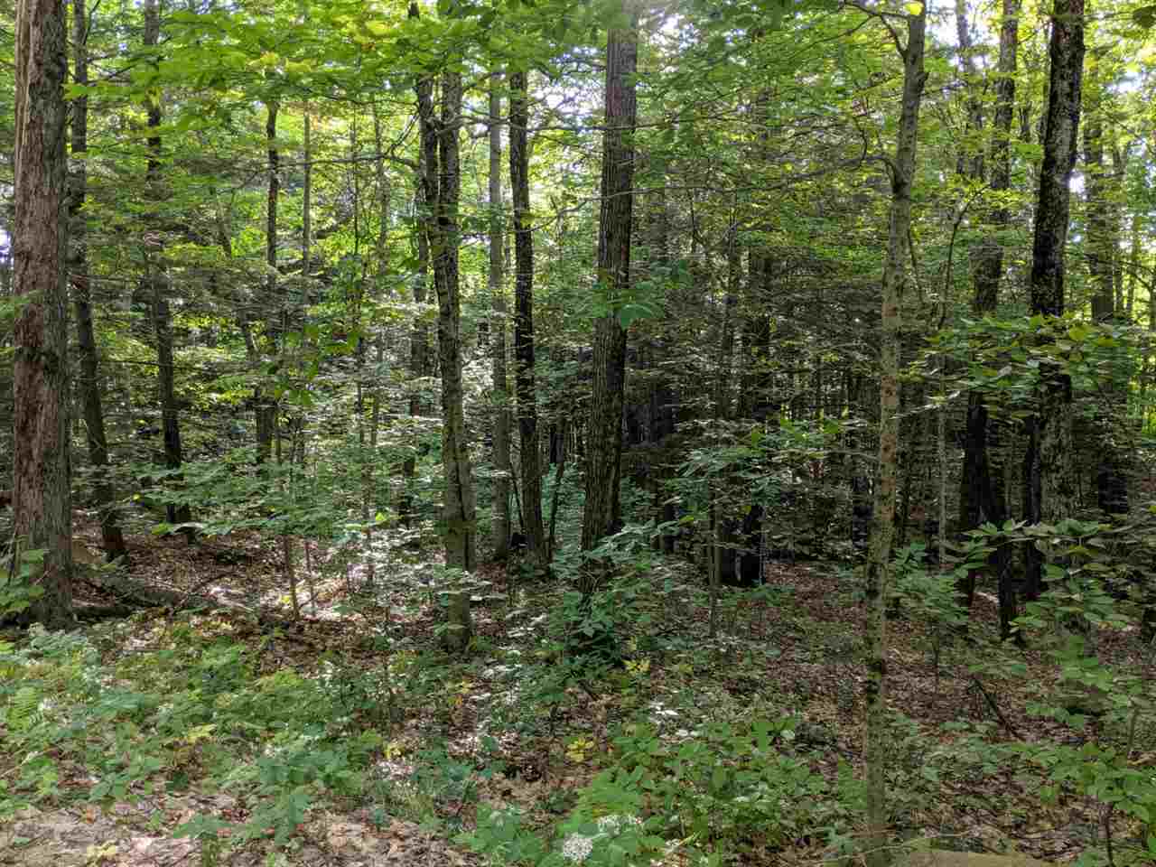 -405-20) Middle Route Gilmanton, NH 03237 - Photo 8 of 11
