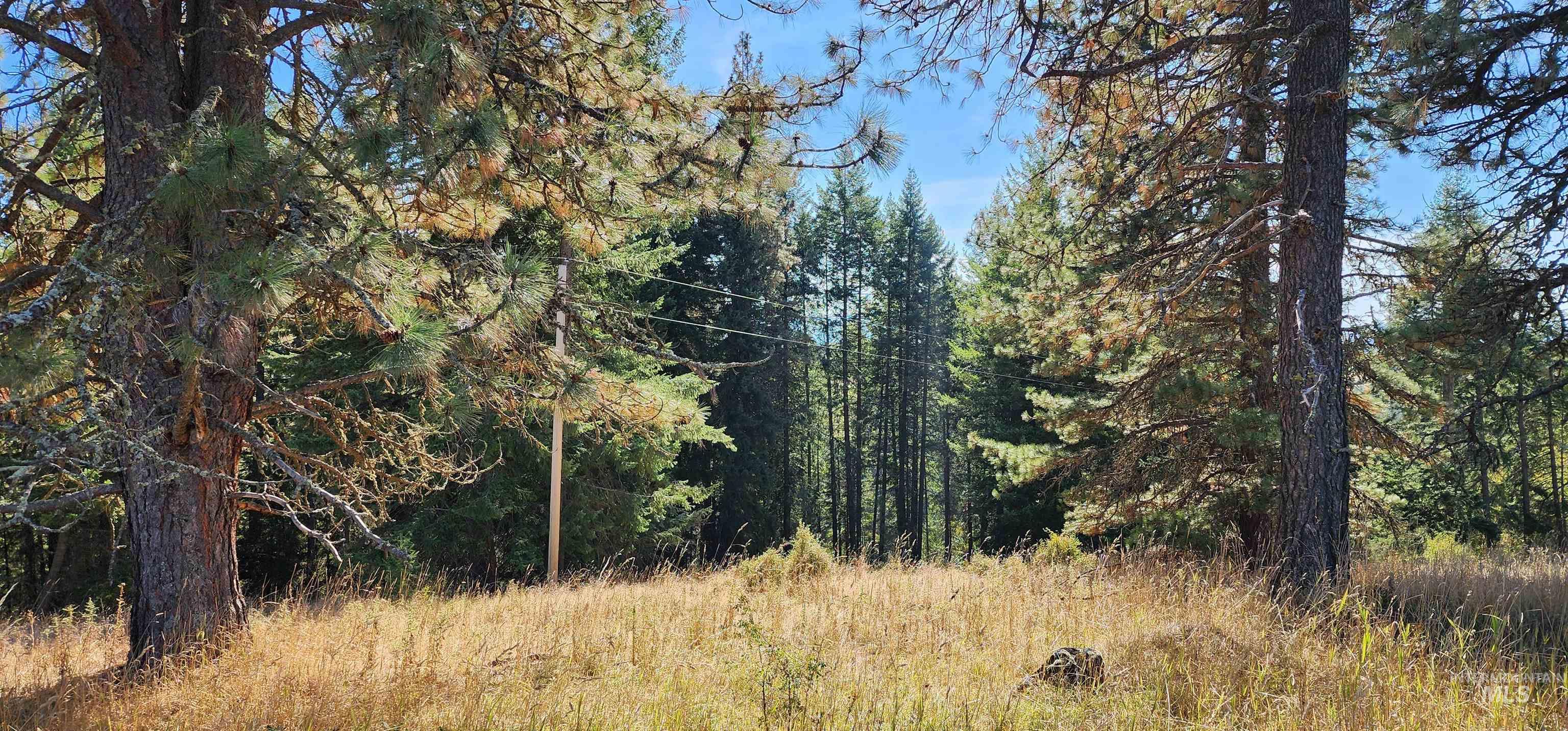 Tbd Red Fir Road Kooskia, ID 83539 - Photo 22 of 34