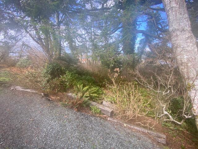 Easy Street South Rockaway Beach, OR 97136 - Photo 2 of 8 IMG_7377
