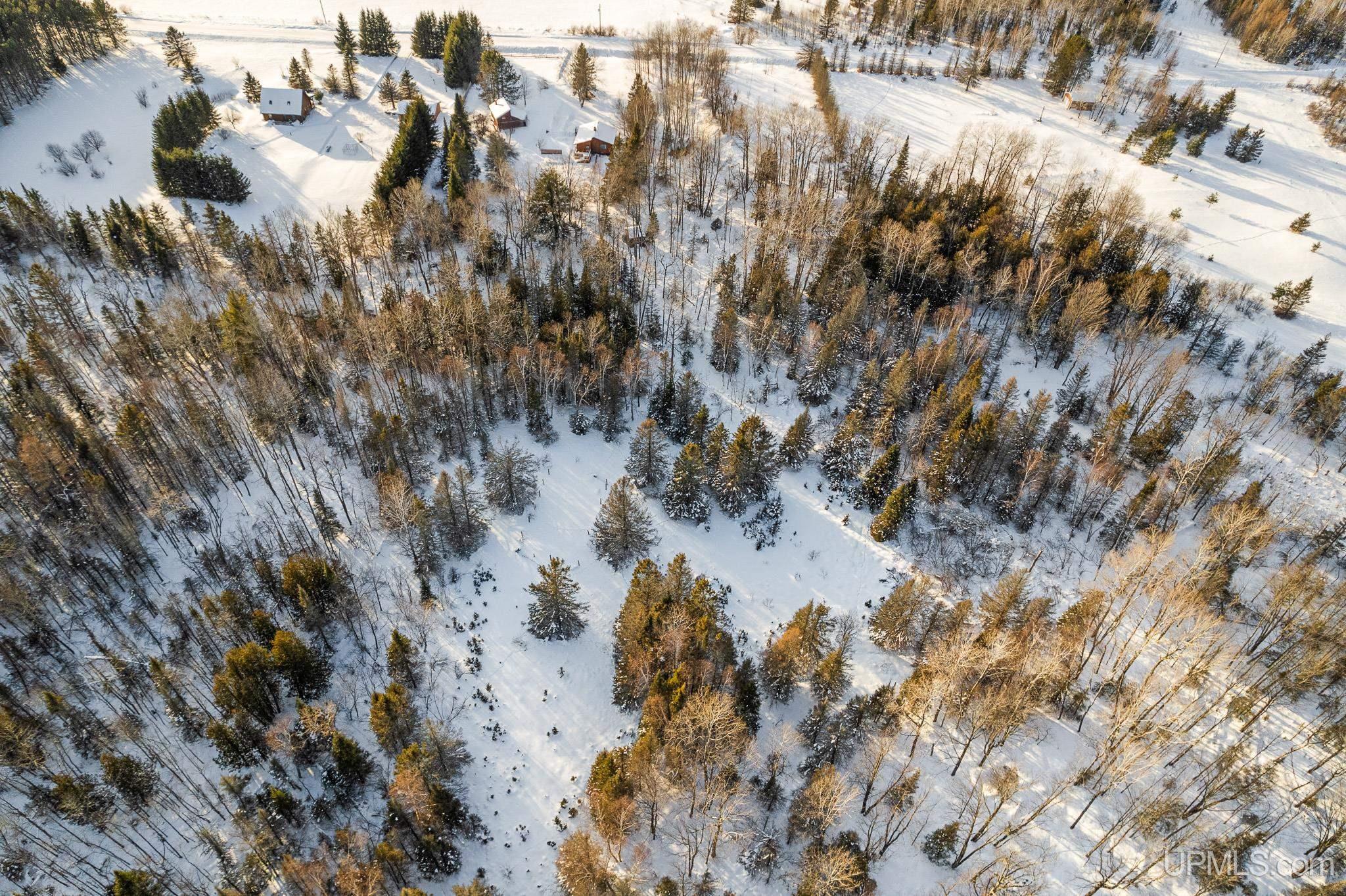 12202 Farmfield Road Rock, MI 49880 - Photo 8 of 34