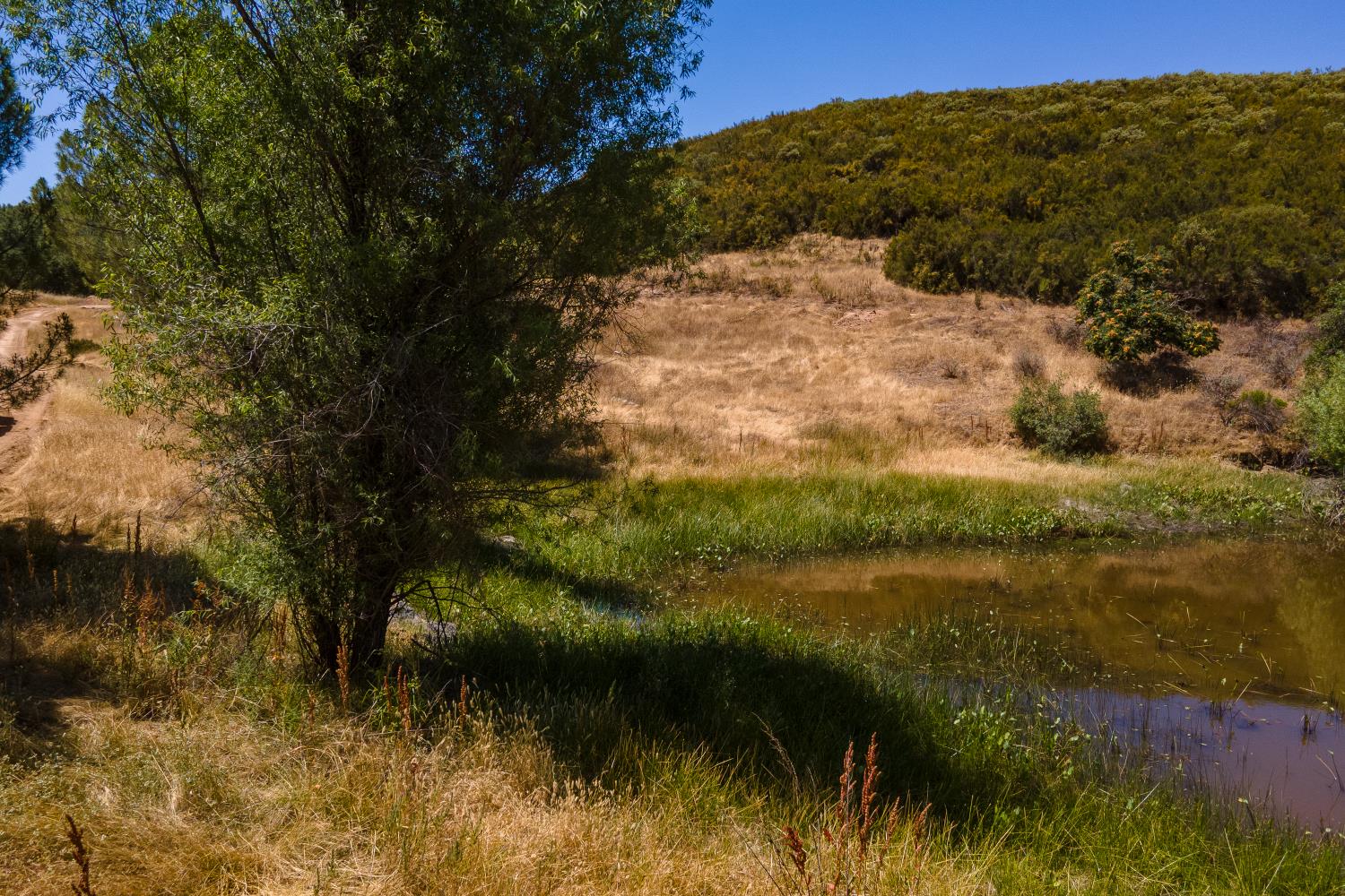 0 Stony Creek Road Ione, CA 95640 - Photo 23 of 70