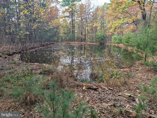 a view of a lake with large trees