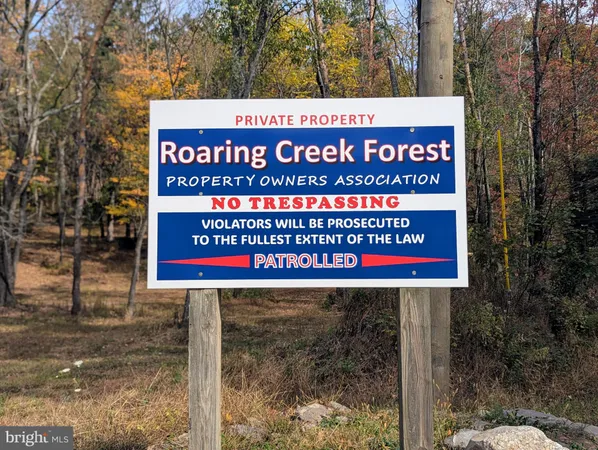 a view of a sign board with large trees