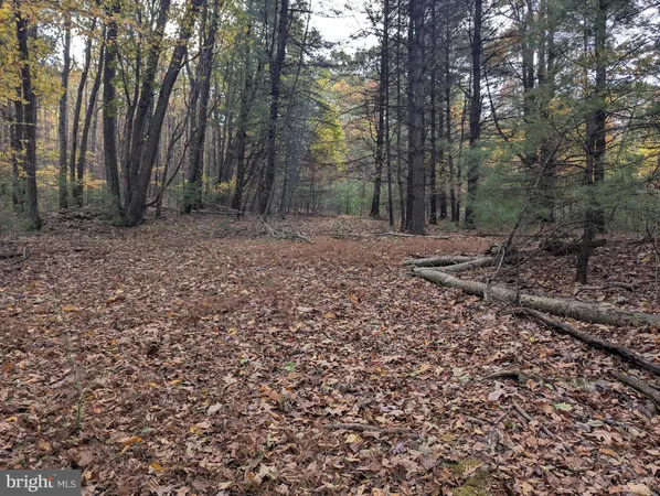 a view of outdoor space and tree