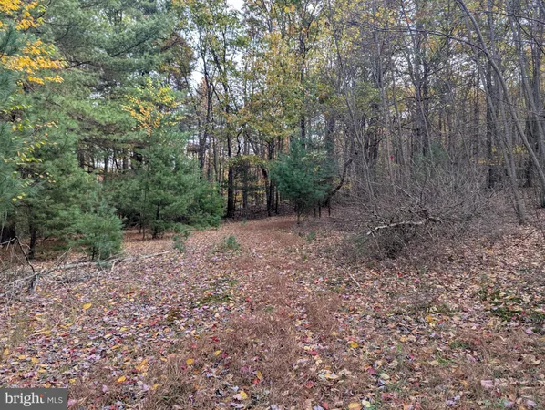 a view of a yard with trees in the background