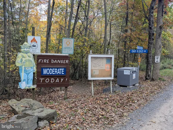 a close view of a sink