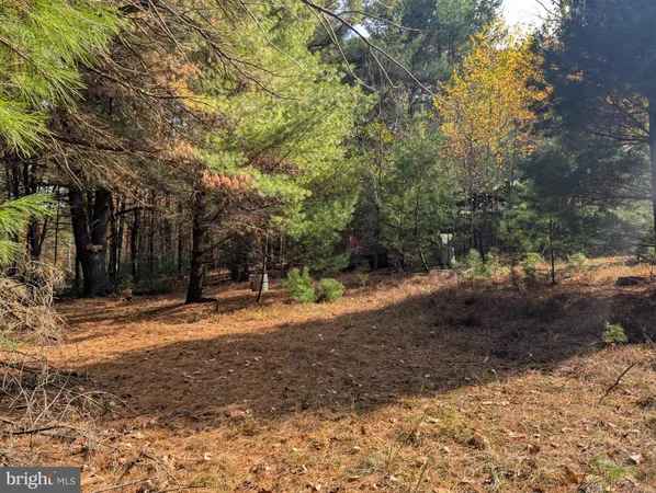 a view of a backyard of the house