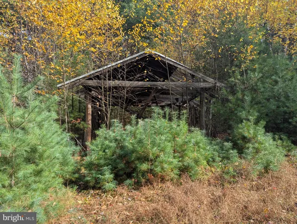 a view of a yard with trees in the background