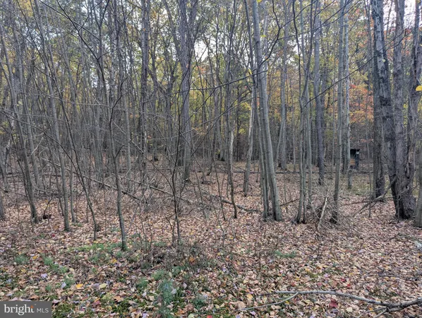 a view of a lake with a yard