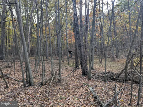 a view of a lake with a tree