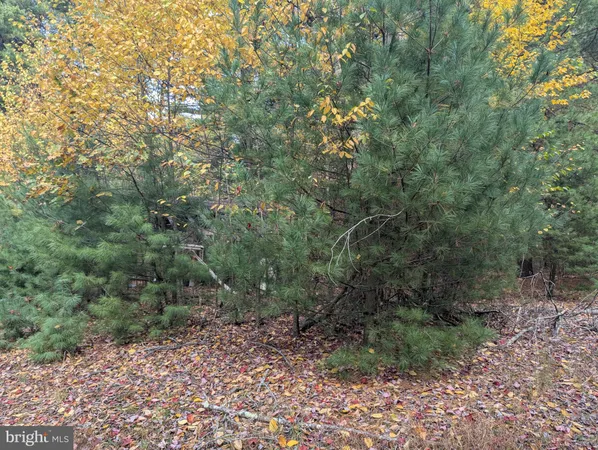 a backyard of a house with lots of green space and fog