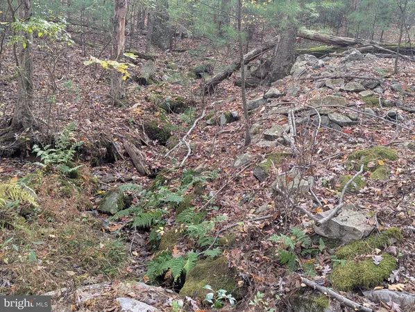 $155,000 | 7 Community Pond Drive, Catawissa, PA 17820